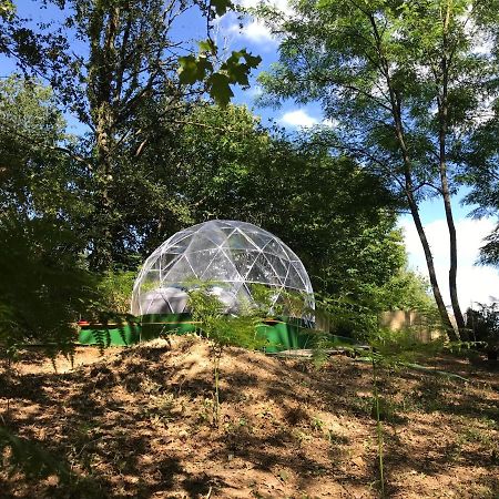Bulle Etoilee En Nature Landaise Saint-Sever  المظهر الخارجي الصورة