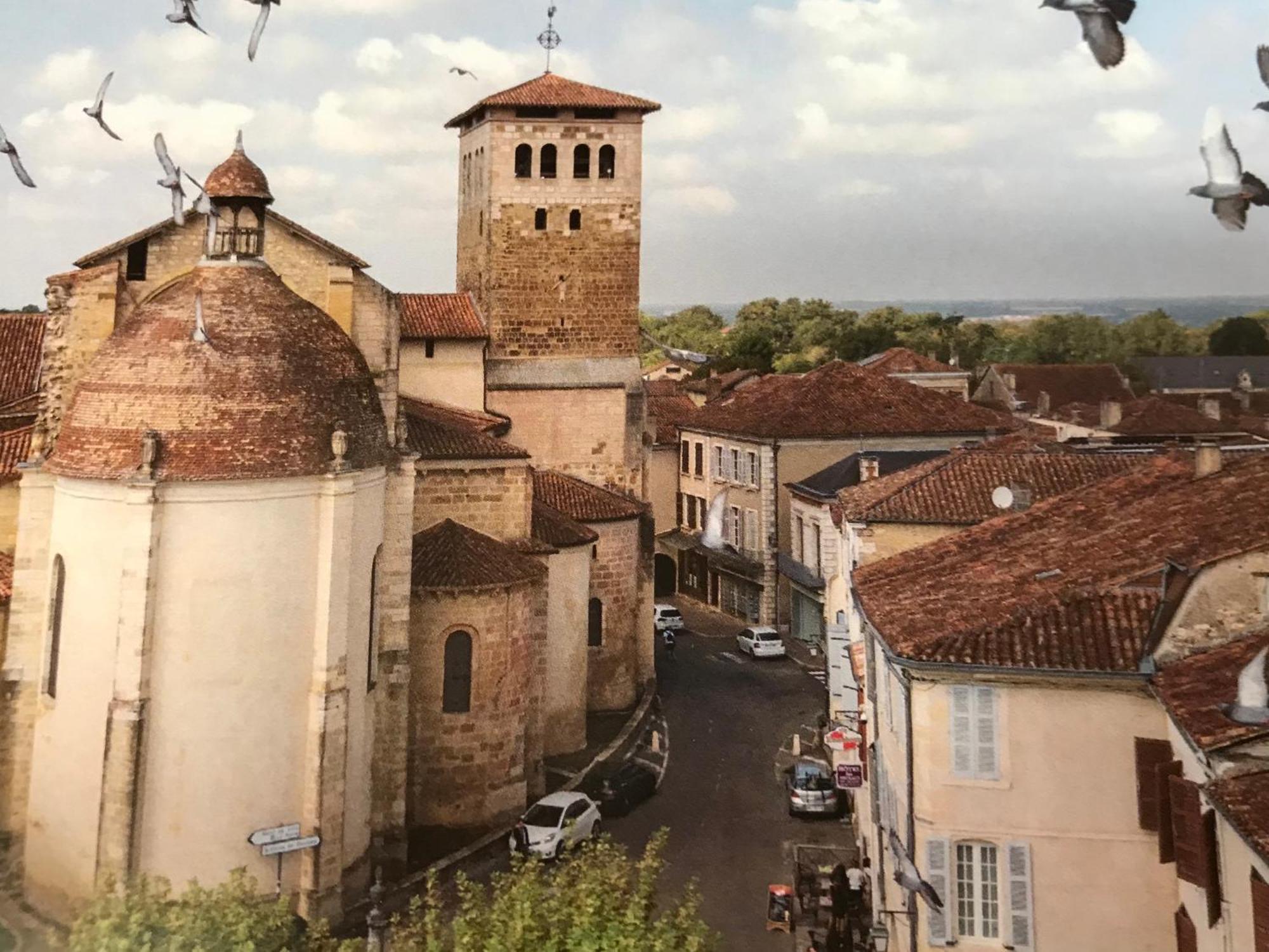 Bulle Etoilee En Nature Landaise Saint-Sever  المظهر الخارجي الصورة