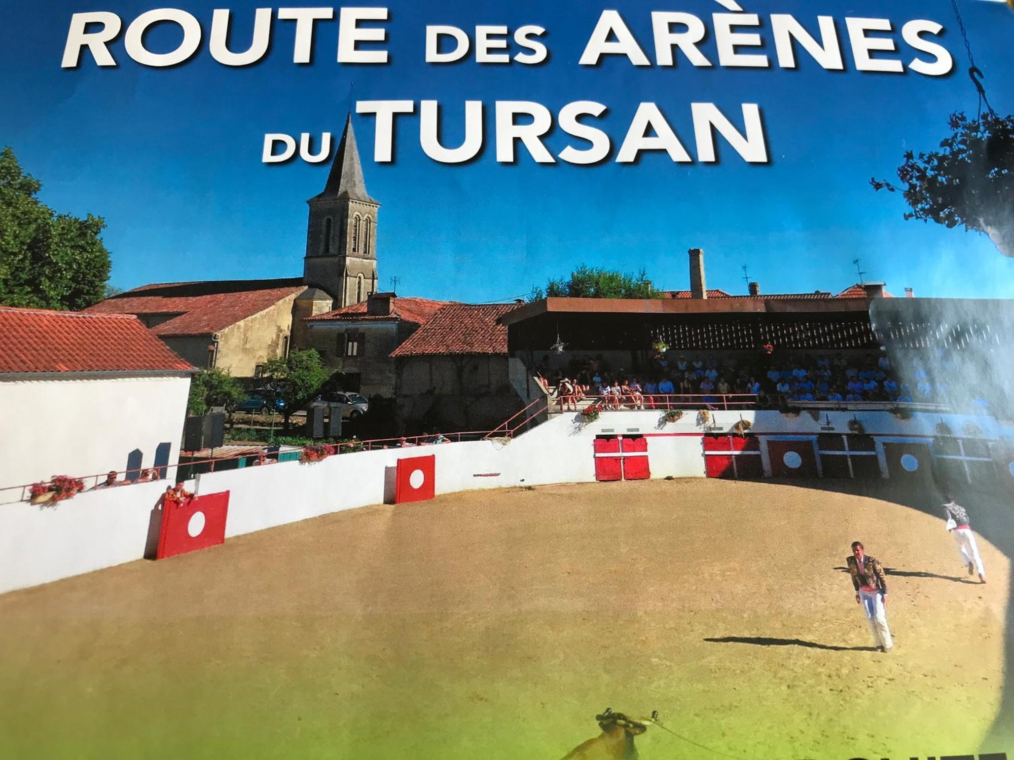 Bulle Etoilee En Nature Landaise Saint-Sever  المظهر الخارجي الصورة